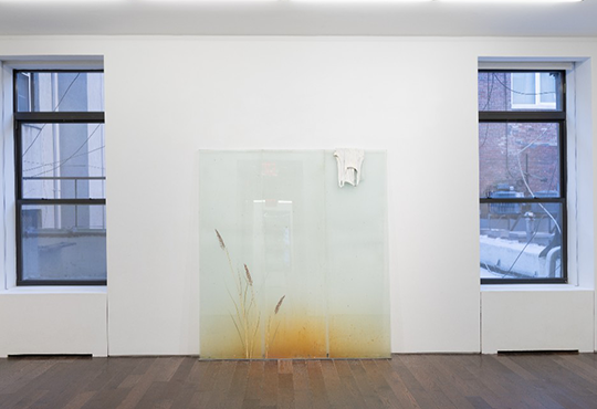 Vue in situ de l'exposition Wilfrid Almendra, galerie Ceysson & Bénétière, New-York, 2024 © Adam Reich, courtesy de la galerie Ceysson & Bénétière